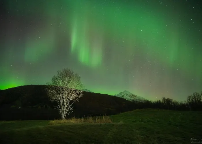 Evenes Artic Glamping