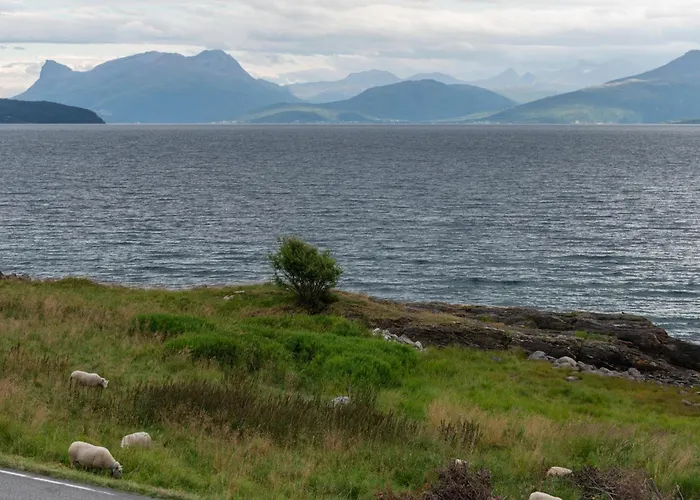 Evenes Artic Glamping