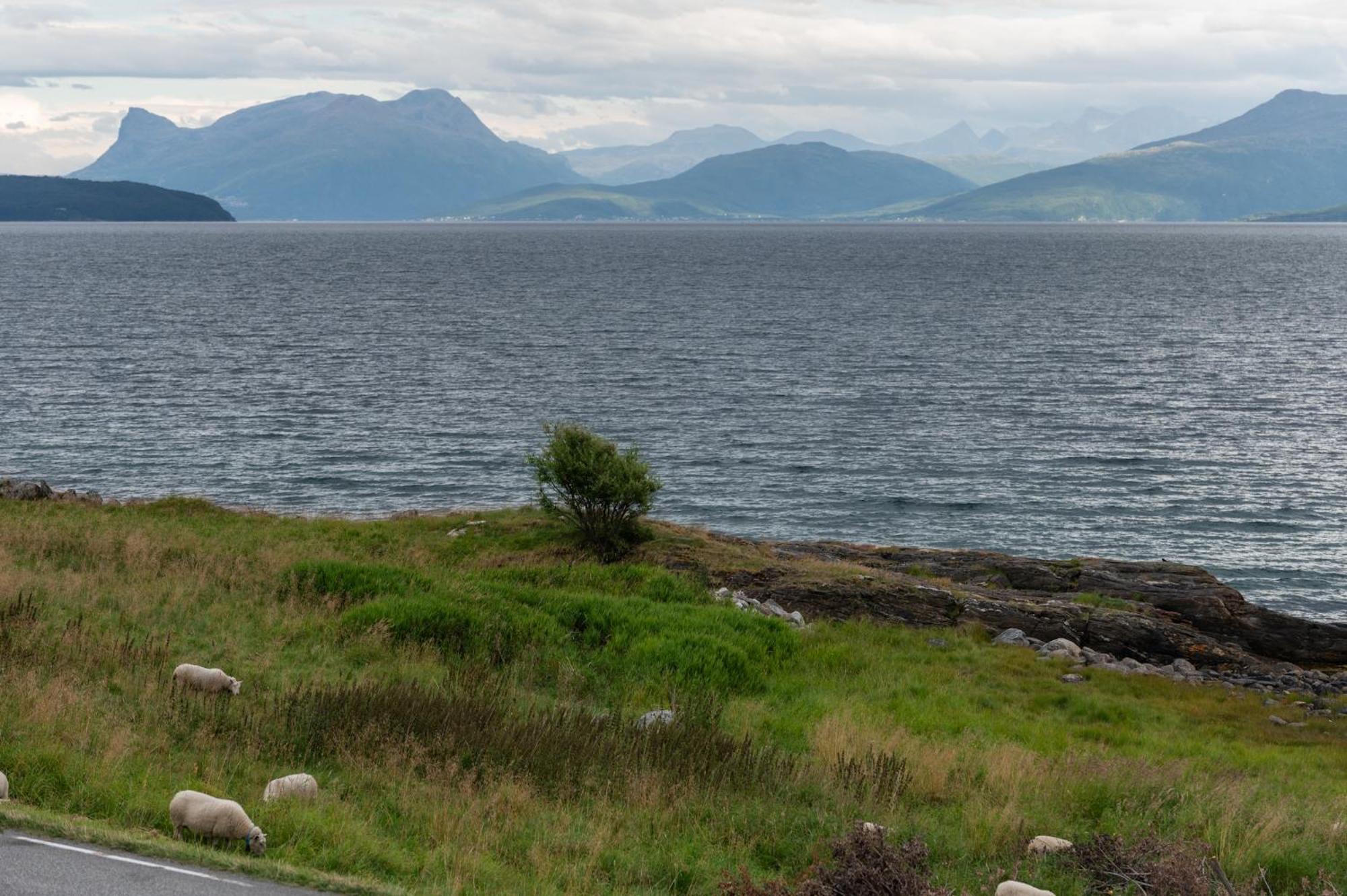 Evenes Artic Glamping Evenesmarkja