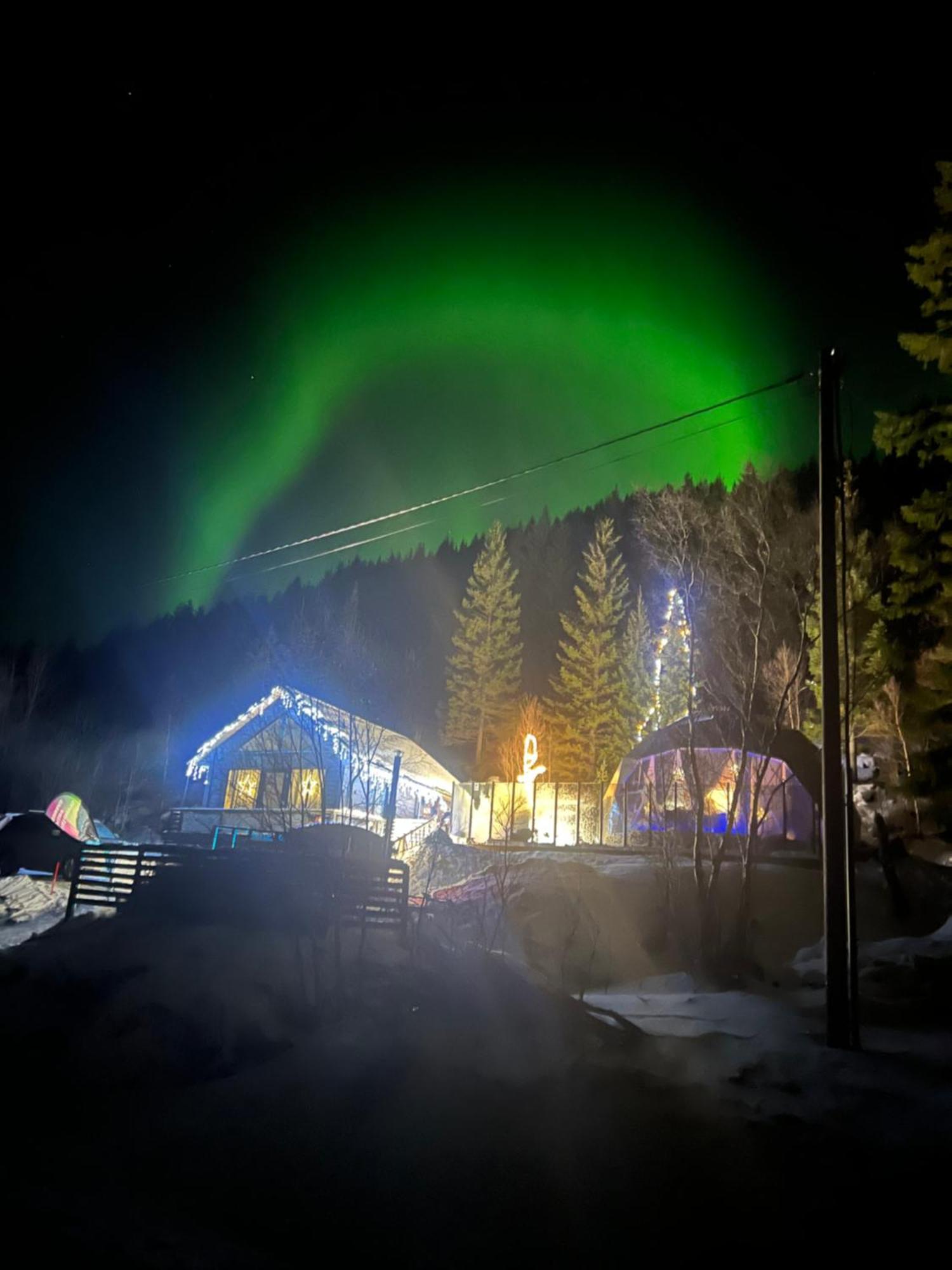 Evenes Artic Glamping Holiday home *